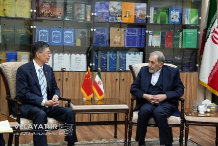 دیدار دکتر ولایتی با سفیر چین در تهران