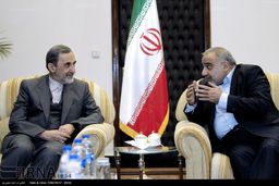 دیدار عادل عبدالمهدی با دکتر ولایتی
