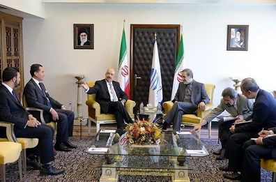 دیدار معاون وزیر خارجه مکزیک با دکتر ولایتی/عکس