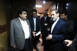عکس/دیدار وزیر حمل و نقل و کشتیرانی هند با دکتر ولایتی