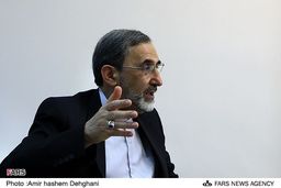 تشریح برنامه‌های اقتصادی دکتر ولایتی برای دولت آینده/ تشکیل نظام‌های کارآمد نظارتی و کنترلی