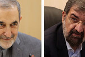 پیام تبریک دکتر ولایتی به معاون اقتصادی رئیس جمهور