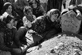 امروز فلسطین مسیر اصلی مبارزه و مقاومت را به عنوان بهترین راه حل انتخاب کرده